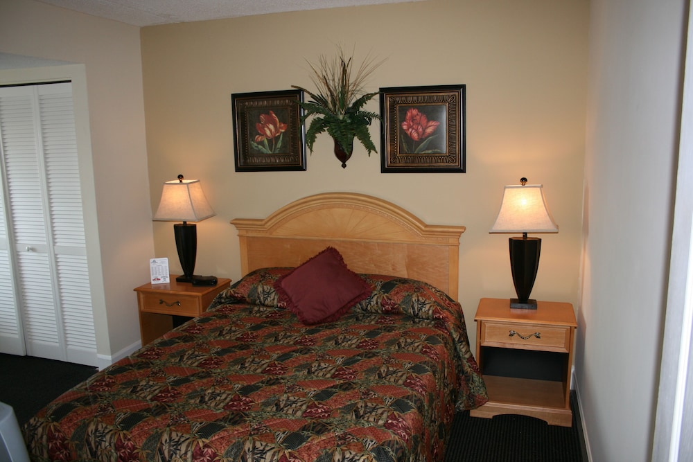 Basic Room photo 3