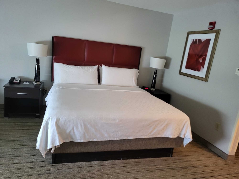 Suite, 1 King Bed with Sofa bed - Photo 2