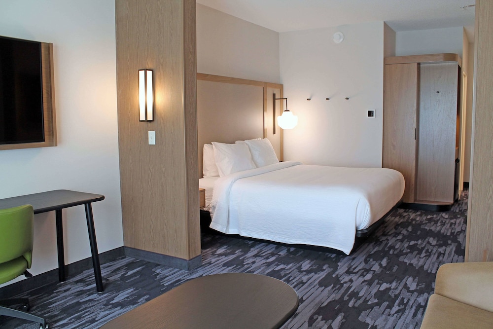 Suite, 1 King Bed with Sofa bed (Hearing Accessible) - Photo 2