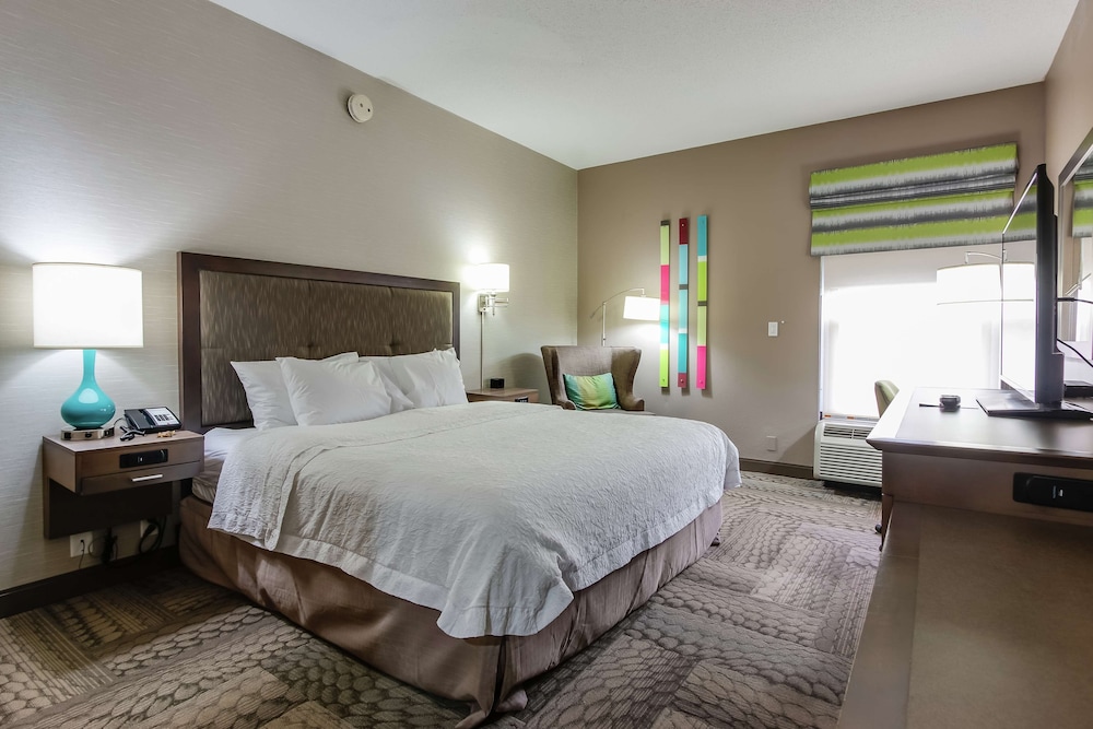 Room, 1 King Bed, Accessible - Photo 10
