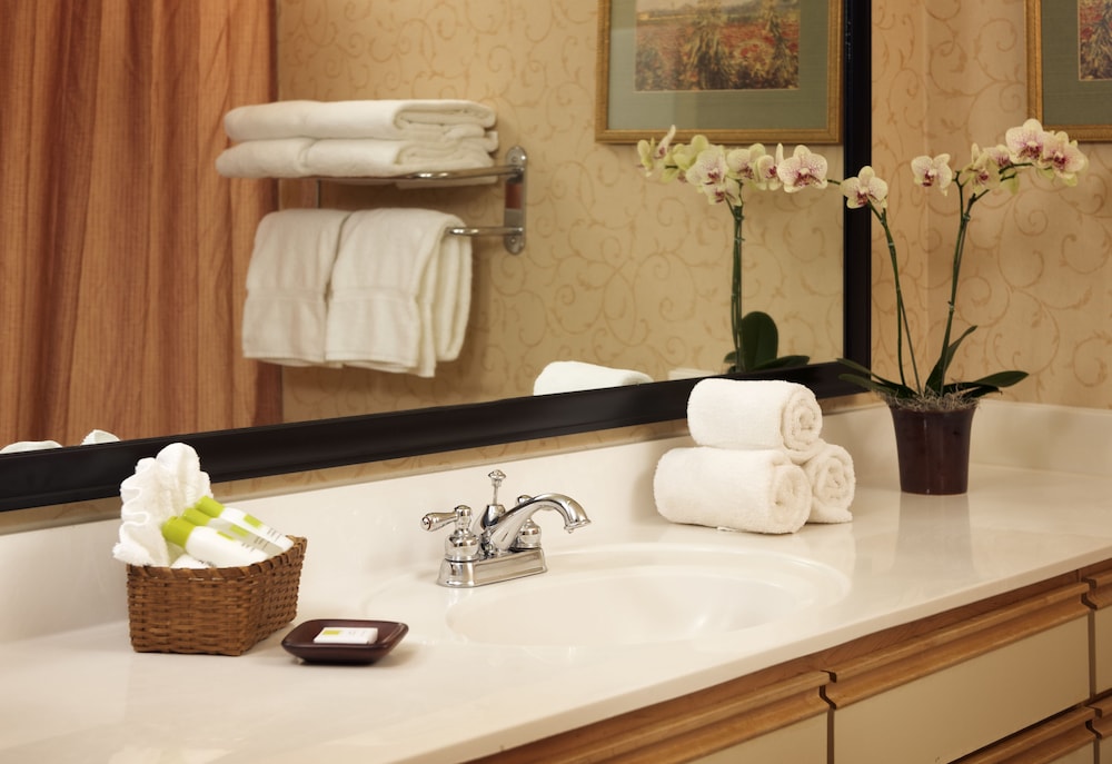 One Bedroom Suite Accessible - Photo 6