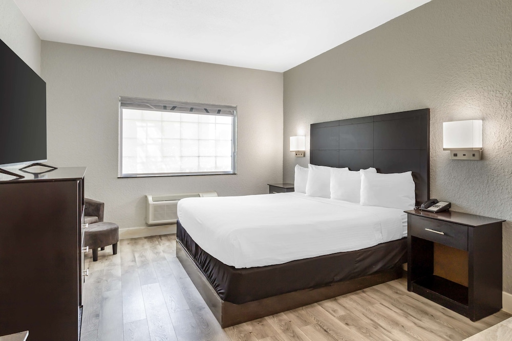 Standard Room, 1 King Bed, Non Smoking, Jetted Tub - Photo 2