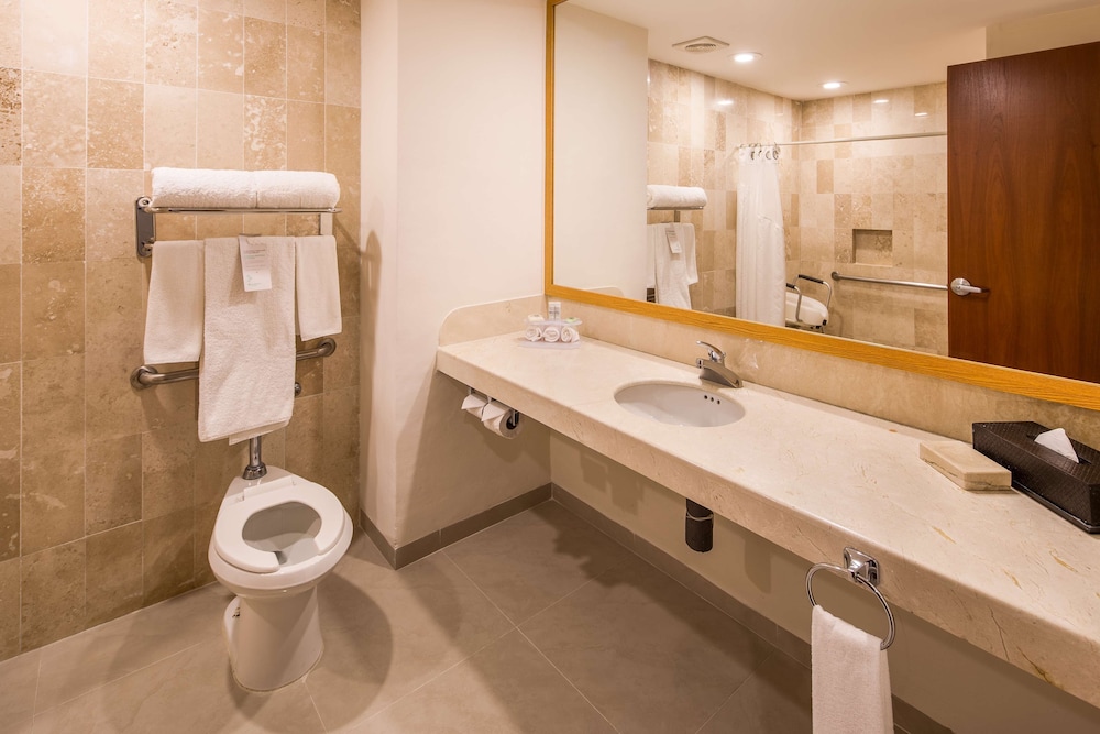 Suite, 1 King Bed, Non Smoking (One-Bedroom) - Photo 7