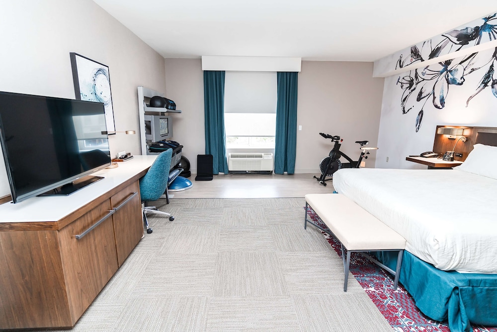 Room, 1 King Bed, Accessible, Bathtub (Mobility & Hearing) - Photo 7