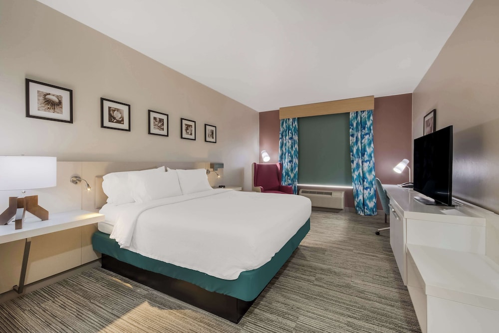 Room, 1 King Bed, Accessible (Mobility & Hearing, Roll-In Shower) - Photo 2