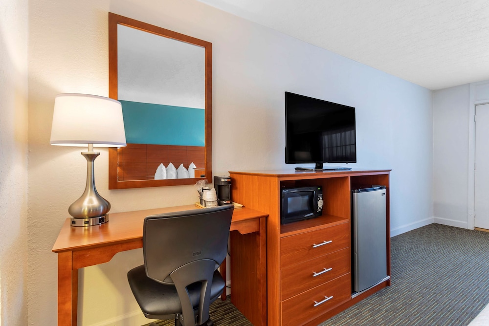 Standard Room, 1 King Bed, Accessible, Refrigerator & Microwave - Photo 6