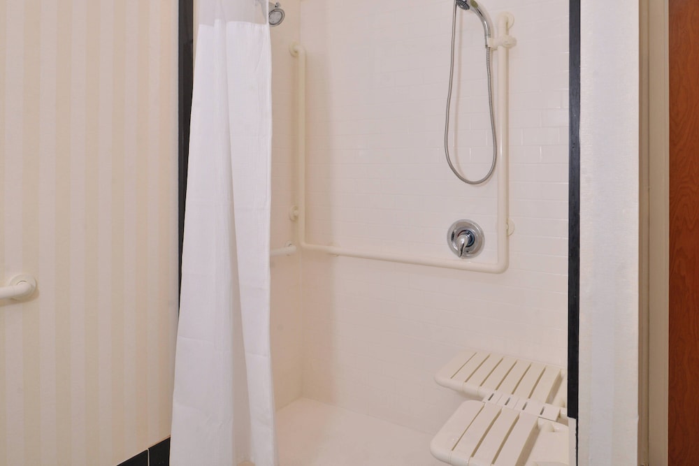 Room, 1 King Bed (Mobility/Hearing Access, Roll-in Shwr) - Photo 4