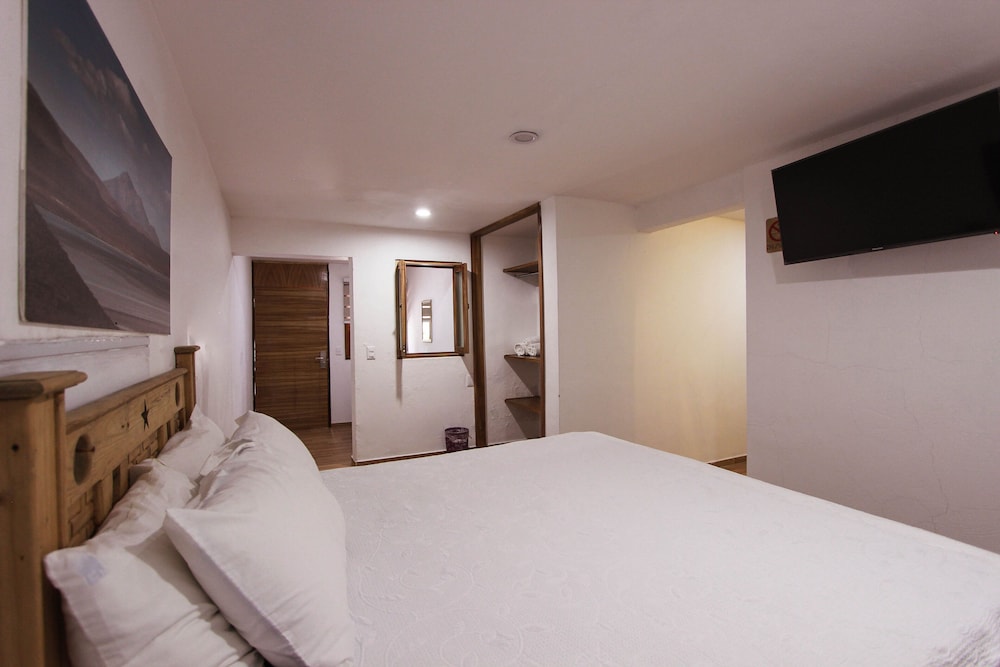 Elite Studio Suite, 1 Queen Bed photo 3