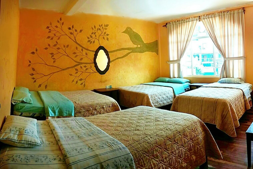 Quadruple Room photo 2