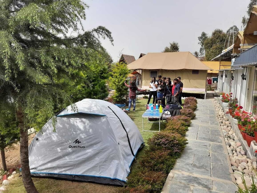 Dome Tents photo 2