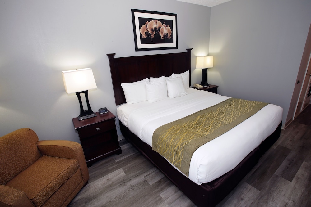 Suite, 1 King Bed, Non Smoking, Refrigerator & Microwave (with Sofabed) - Photo 7