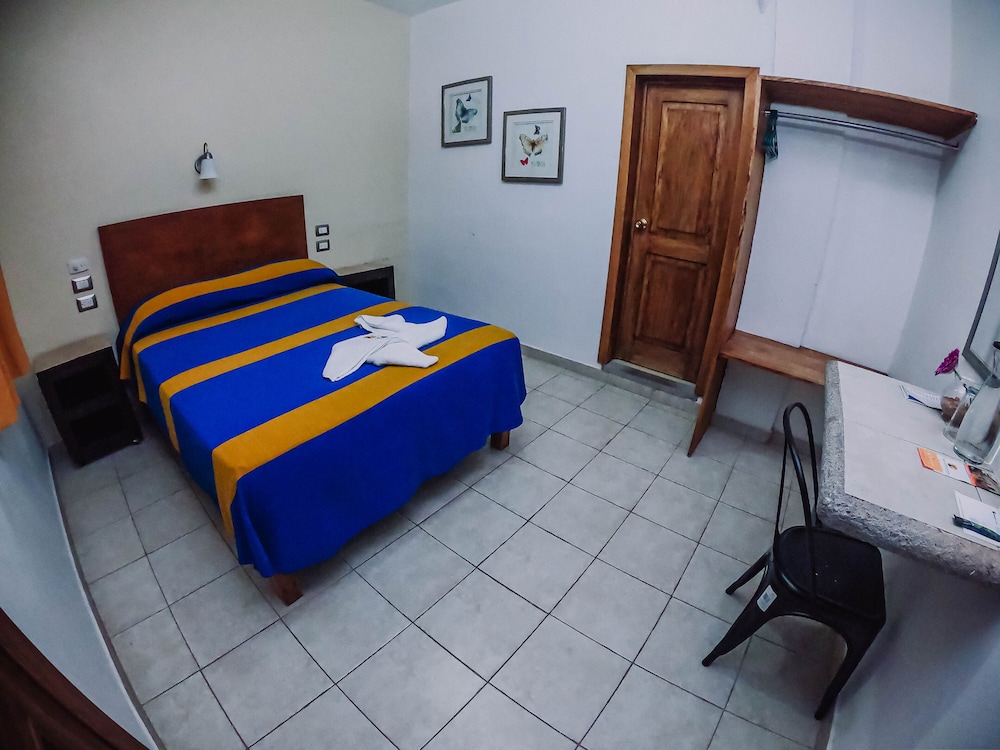 Habitación estándar 1 cama matrimonial con ventilador