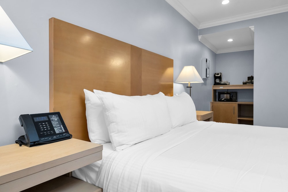 Deluxe Single Room, 1 King Bed - Photo 2
