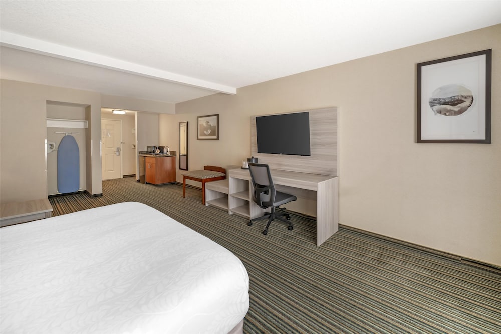 Suite, 1 King Bed, Accessible, Refrigerator & Microwave (with Single Sofabed) - Photo 1