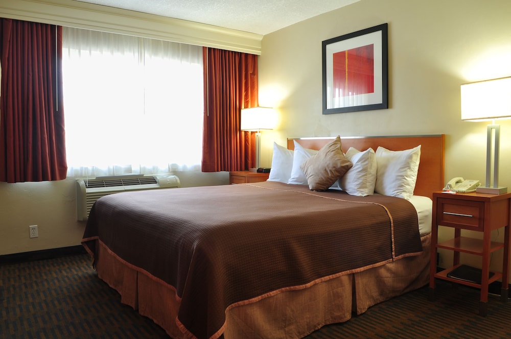 Business Room, 1 King Bed with Sofa bed, Non Smoking, Refrigerator & Microwave - Photo 4