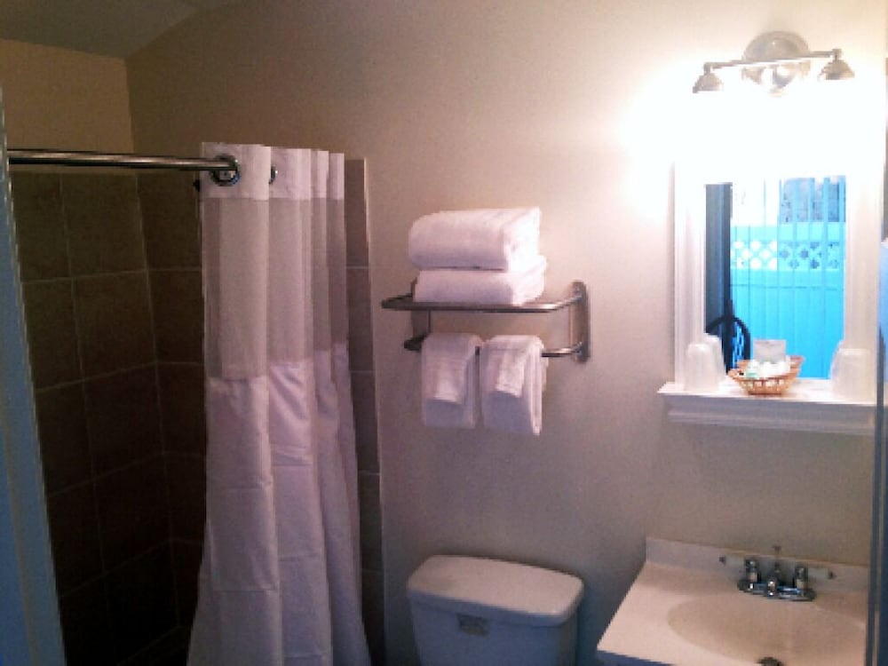 Traditional Studio Suite, 1 King Bed, Kitchenette photo 3