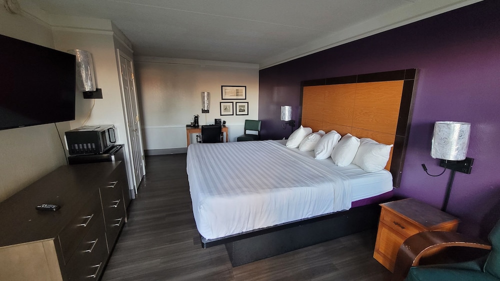 Executive Single Room photo 3