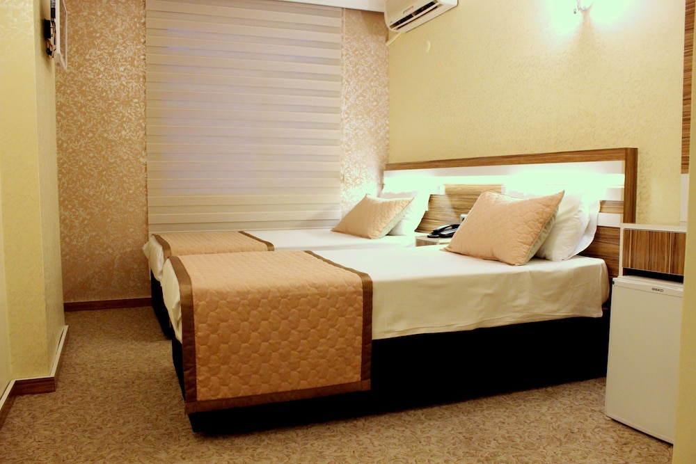 Deluxe Double or Twin Room photo 1