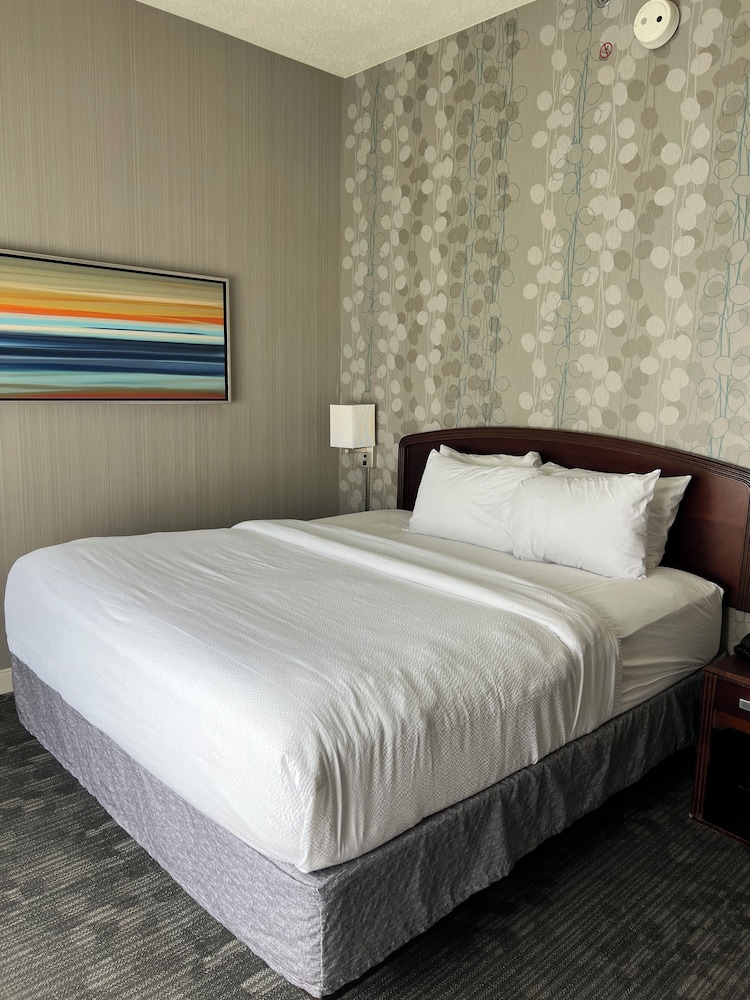 Room, 1 King Bed, Accessible, Non Smoking - Photo 1