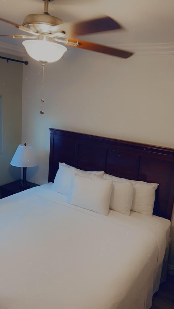 Junior Suite, 1 King Bed with Sofa bed - Photo 1