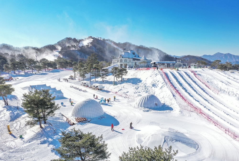[FUNFUN PKG(2adults+1child)]SilverSuite(Kitchen/ParkView/Bed)-Breakfast+OceanWorld orSnowyLand 1time