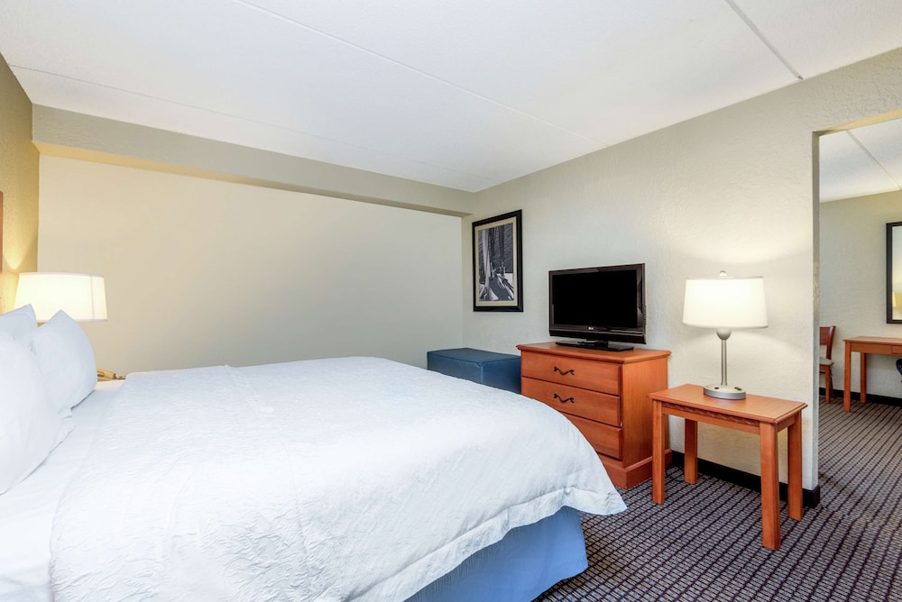 Suite, 1 King Bed, Accessible, Non Smoking - Photo 5