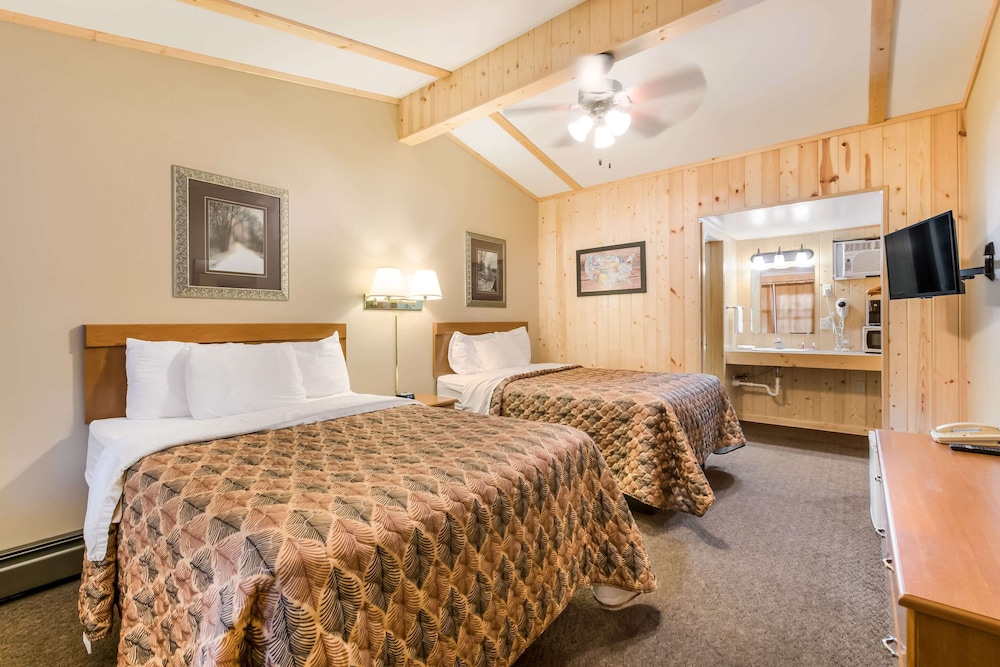 Standard Room, 2 Double Beds, Non Smoking (Pet Friendly) - Photo 1