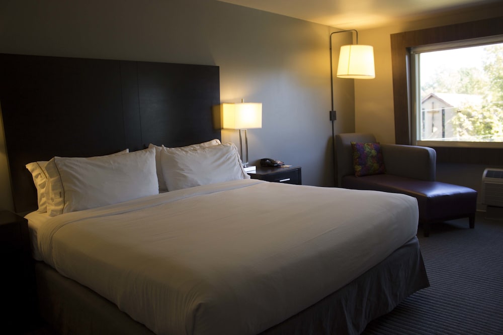Standard Room, 1 King Bed, Accessible (Communications, Accessible, Tub) photo 1