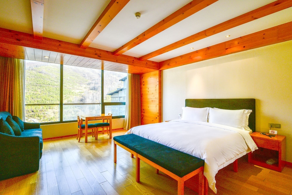 Basic Double Room