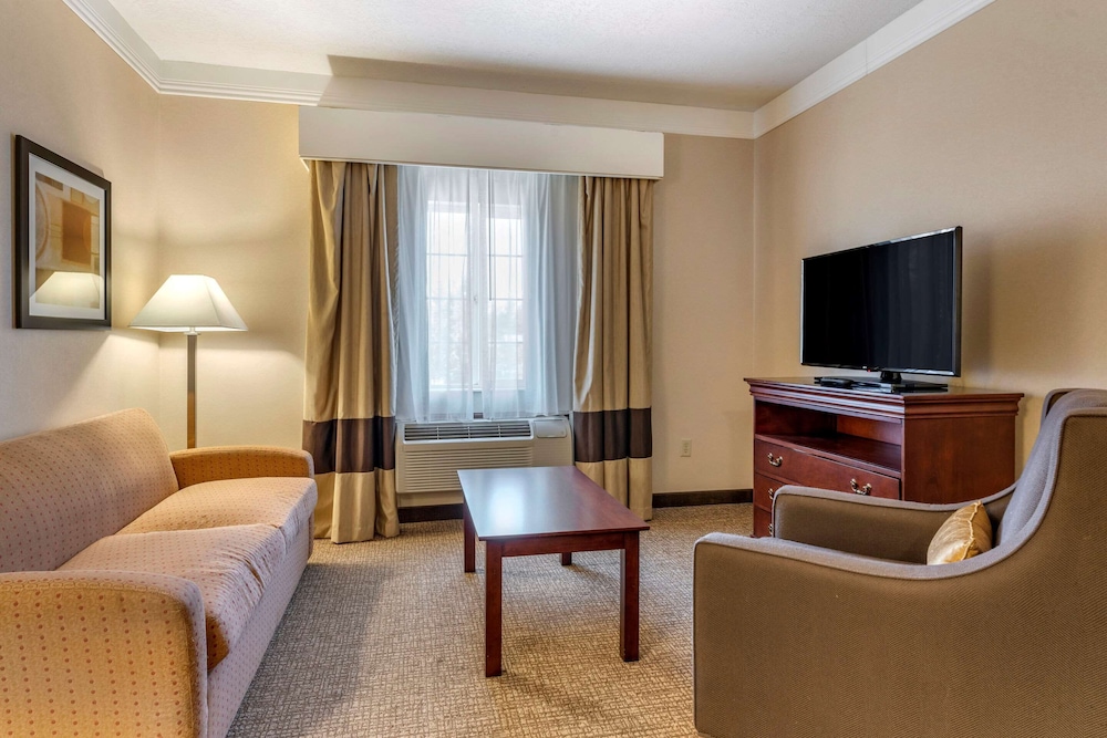 Suite, 1 King Bed with Sofa bed, Accessible, Non Smoking - Photo 2
