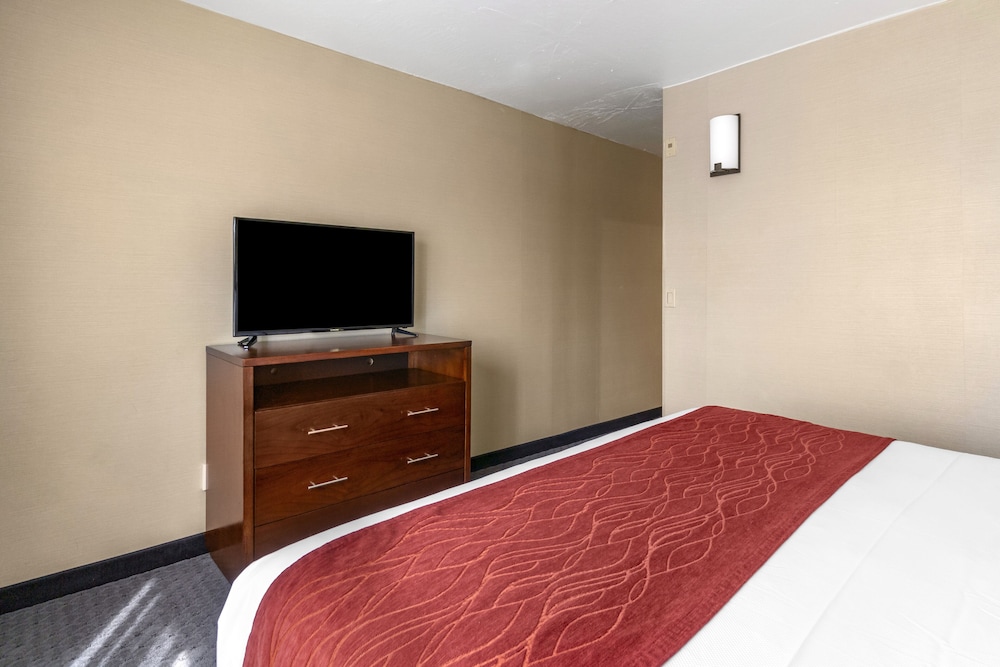 Suite, 1 King Bed, Non Smoking photo 3