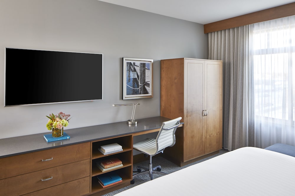 Premier Room, 1 King Bed, Mobility Accessible, photo 6
