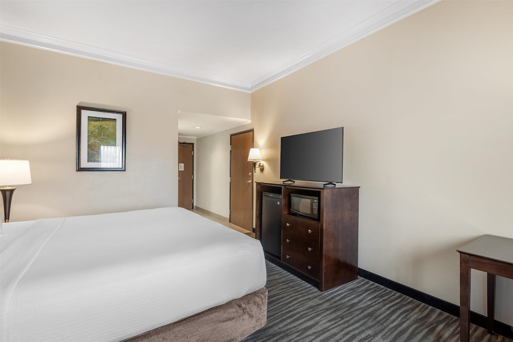Standard Room, 1 King Bed, Accessible, Refrigerator & Microwave - Photo 3