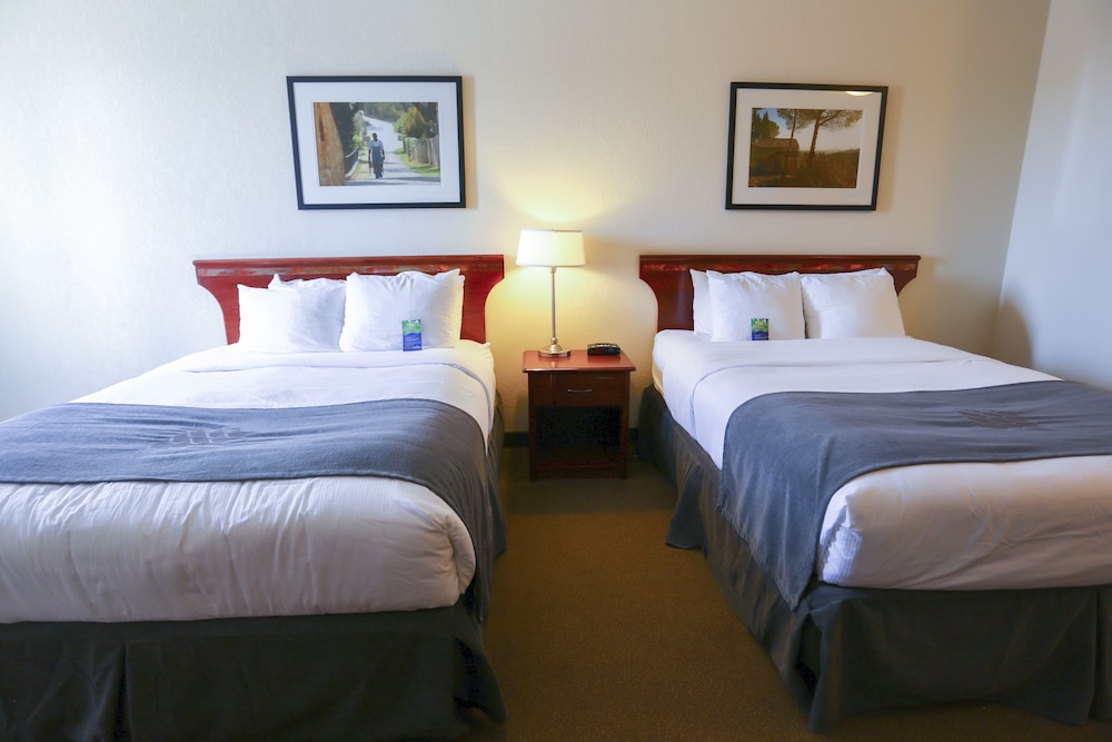 Double Room, 2 Queen Beds photo 3