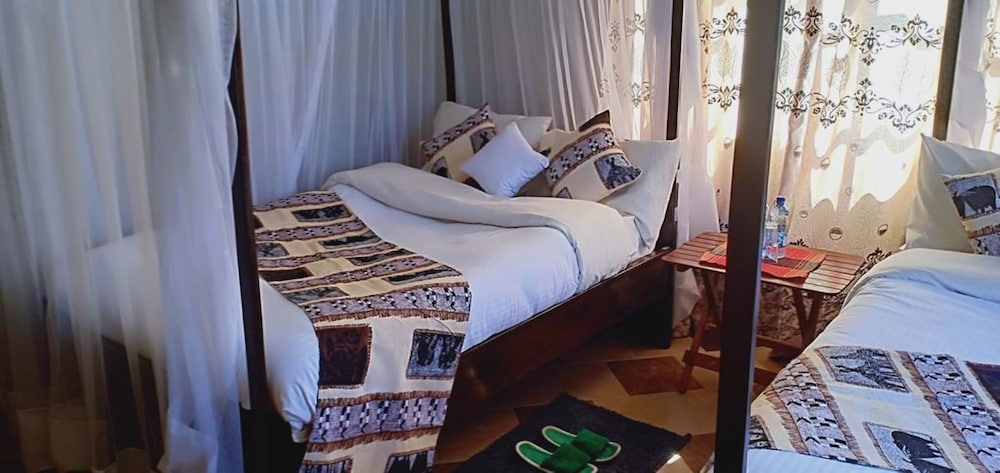 Twin Room photo 3