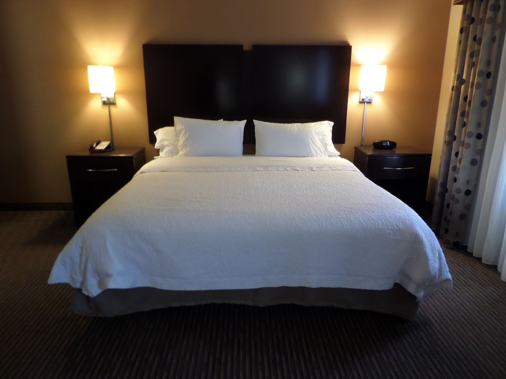 Studio, 1 King Bed, Accessible (Roll-In Shower) - Photo 1