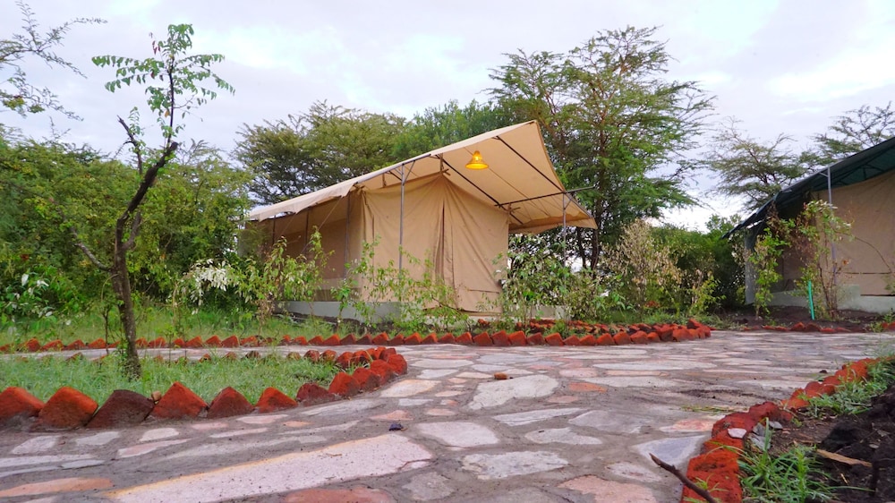 Family Tent, 2 Double Beds, River View photo 3