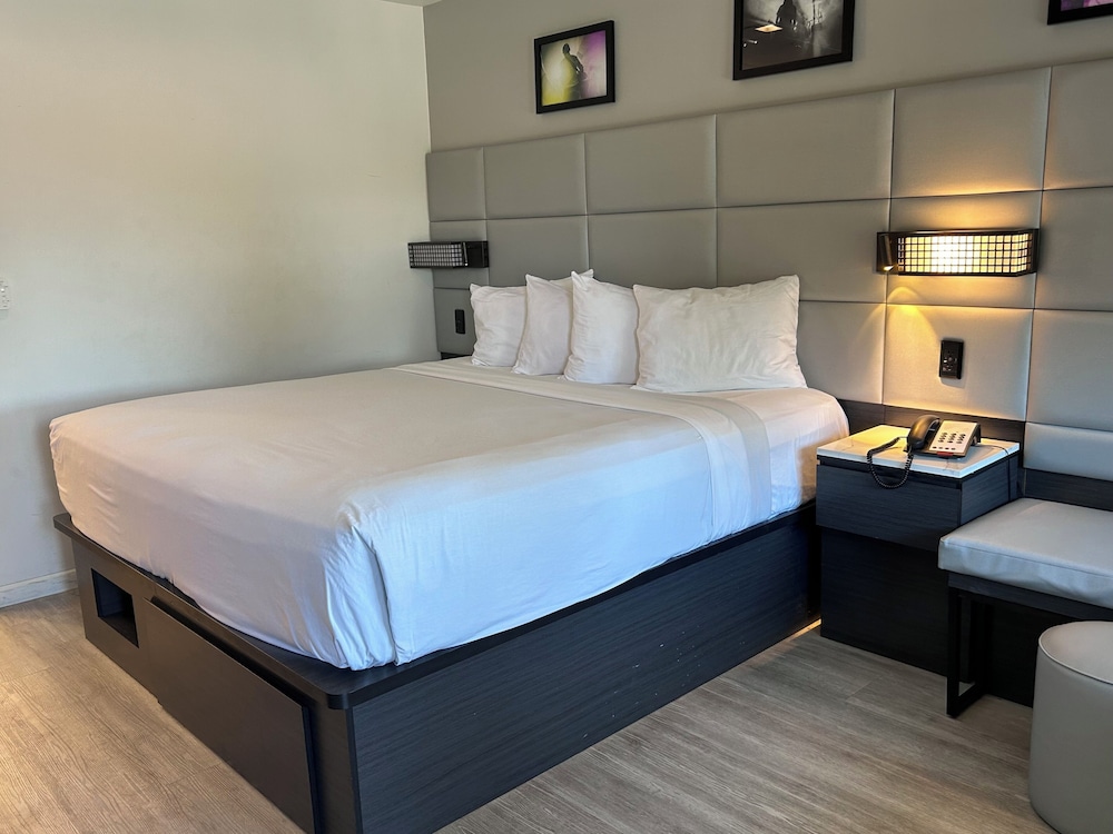 Room, 1 King Bed, Non Smoking photo 1