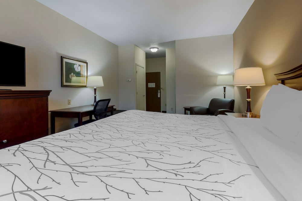 Standard Room, 1 King Bed, Accessible, Non Smoking photo 1