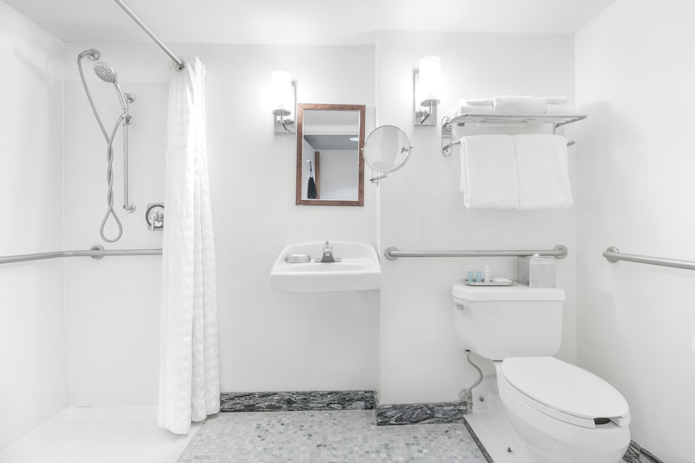 Room, 1 King Bed, Accessible (Roll In Shower)