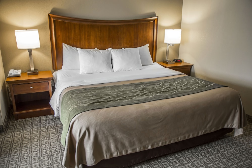 Standard Room, 1 King Bed with Sofa bed photo 1