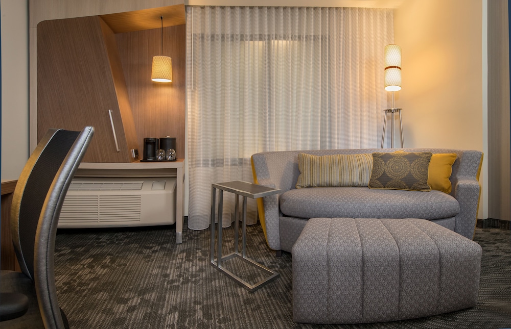 Room, 1 King Bed with Sofa bed (Mobility/Hearing Access, Roll-In Shwr) photo 1