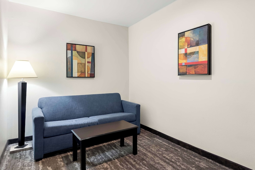Suite, 1 King Bed, Non Smoking, Refrigerator & Microwave (Pet Friendly;with Sofabed) - Photo 4