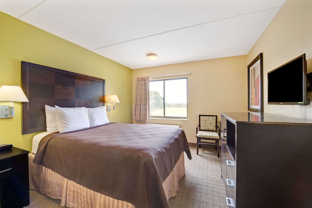 Suite, 1 King Bed photo 2