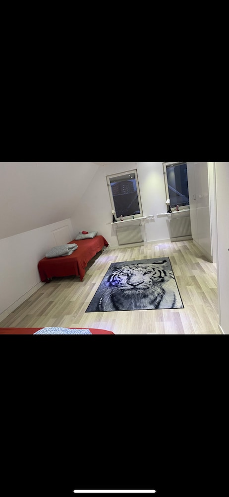 Basic Villa photo 1