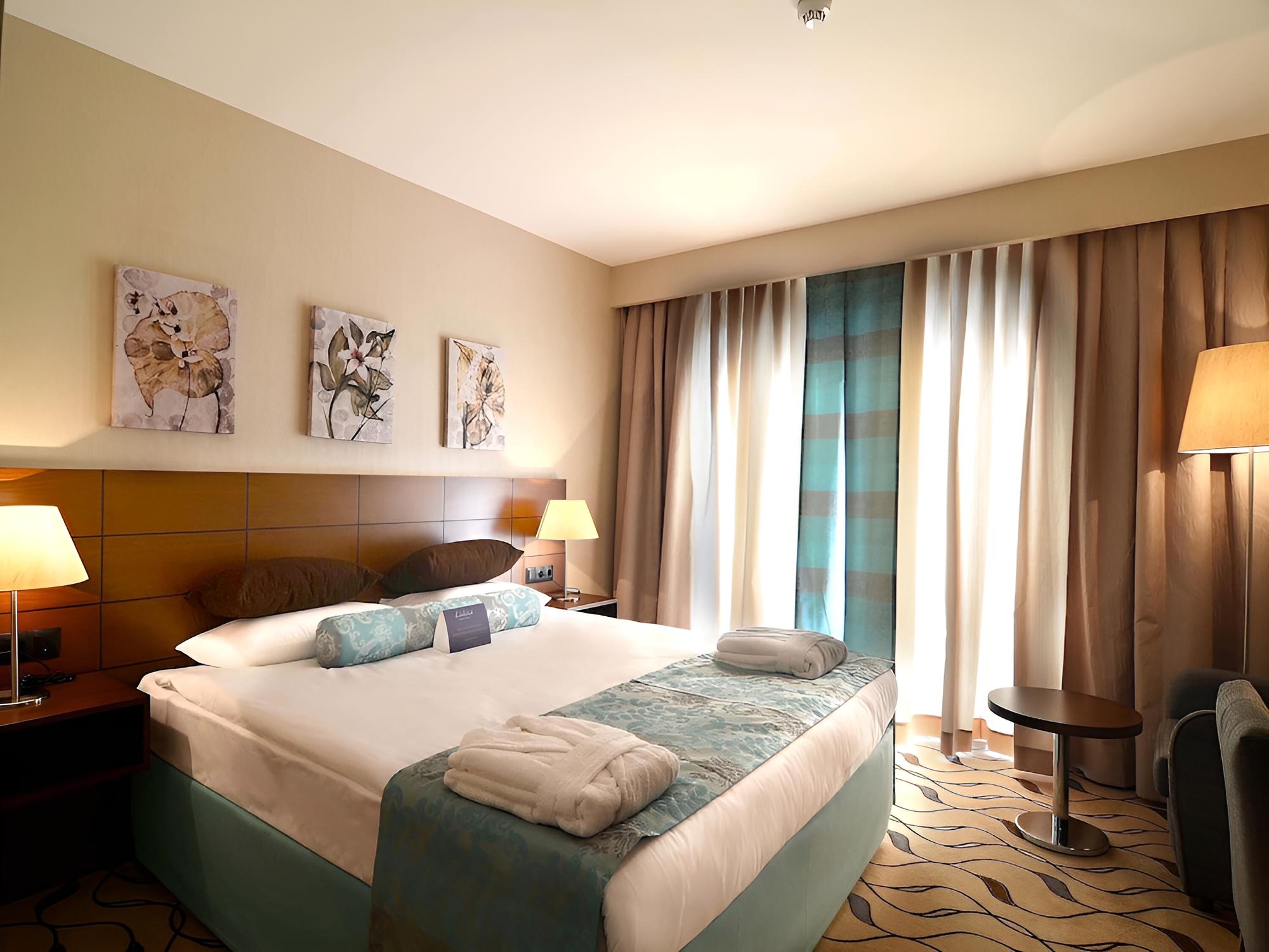 Superior Double or Twin Room photo 2