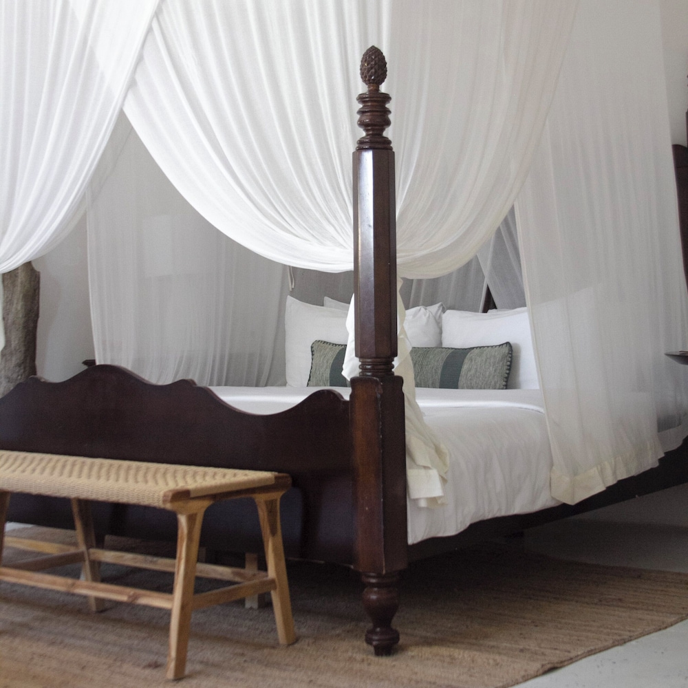 Superior Room, 1 King Bed, Beachfront - Photo 7
