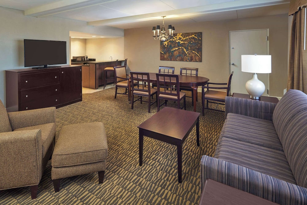 Suite, 1 King Bed with Sofa bed, Non Smoking photo 1