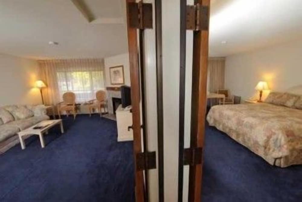 Suite, 1 Bedroom - Photo 1