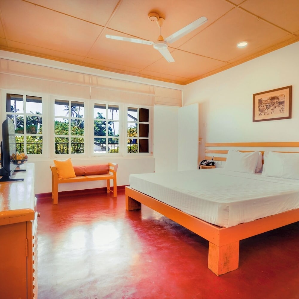 Deluxe Double or Twin Room photo 3